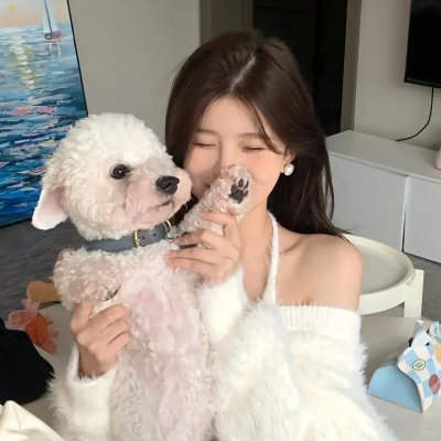 中央公园第三季 海报