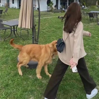 毕加索与我 海报